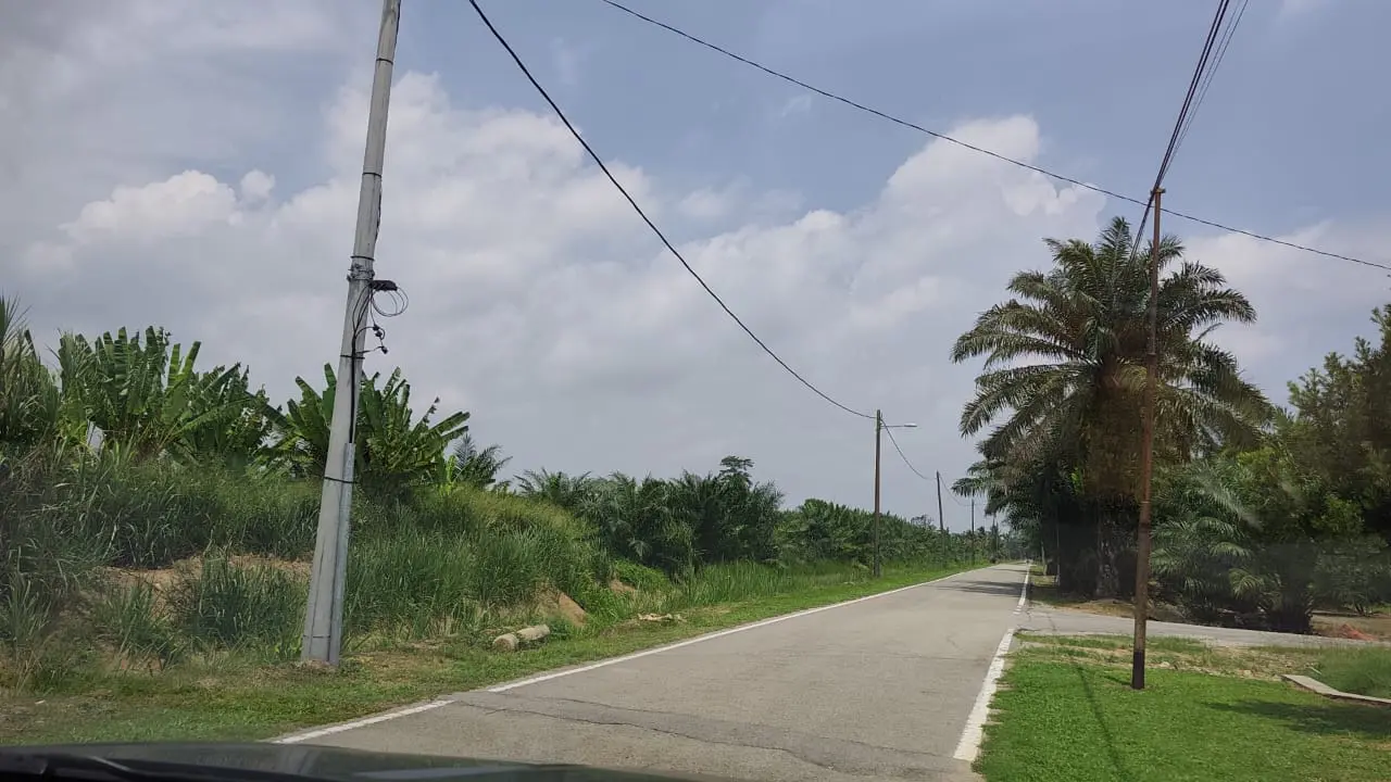 Paved approach road near the Telok Datok land