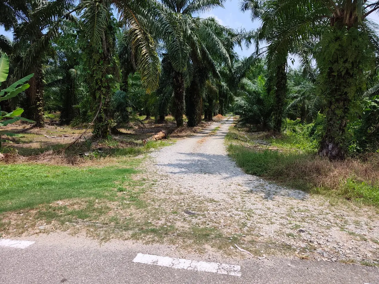 Secondary view of the land entrance from the road